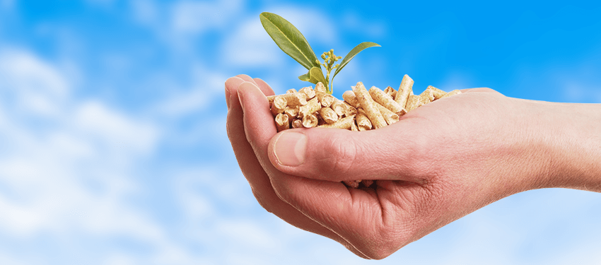 bilinen-yanlislar-blog