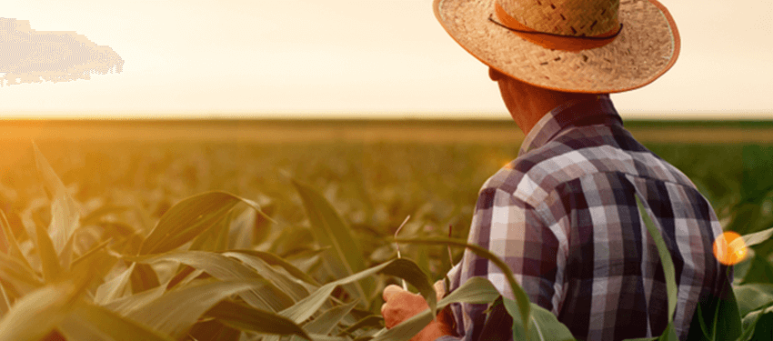 ciftcinin-dostu-blog