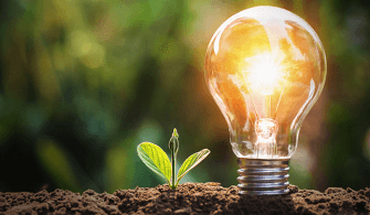 Biyokütle Enerji Santrallerinde Ağaçlar Yakılacak mı?